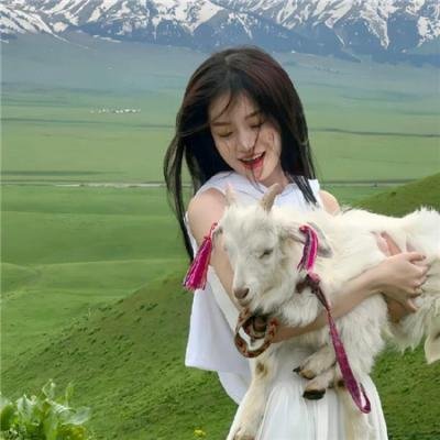 铁马骝